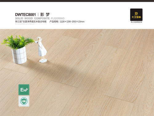 大卫地板enf无醛添加 讲究不将就 健康无止境
