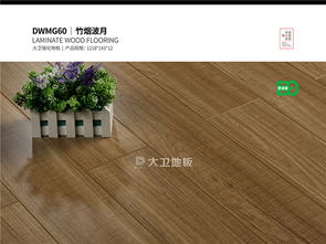 鉴赏 大卫地板 dwmg60 竹烟波月