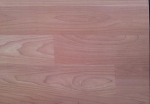 木纹运动地板 pvc木纹卷材地胶工程价格 厂家 图片