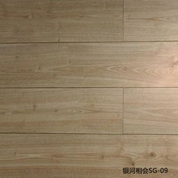 银河相会sg 09 盼盼地板